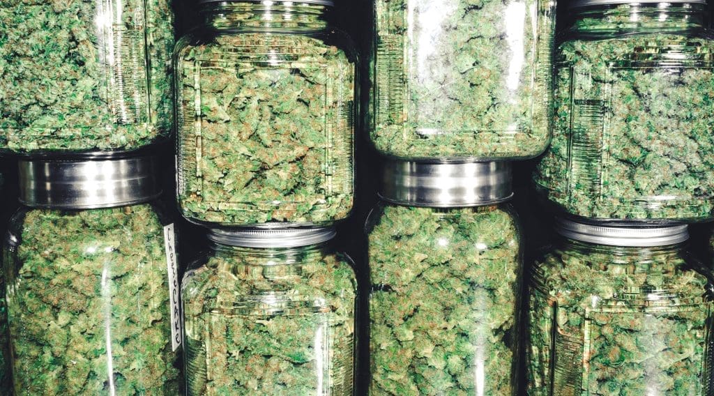weed in glass jars