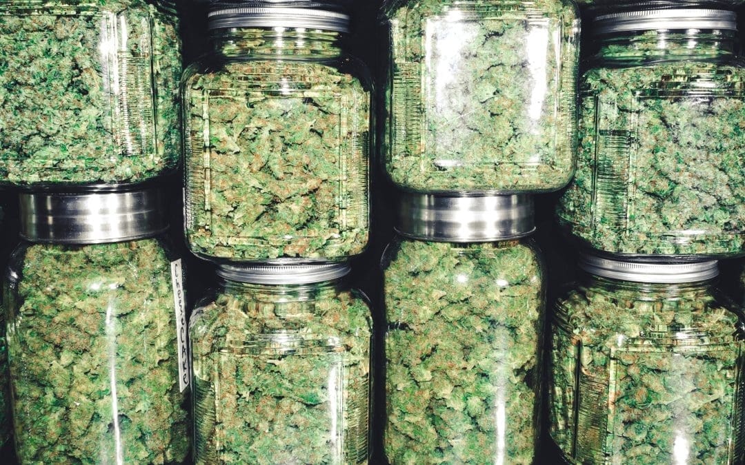 Does Weed Go Bad? (Yes – Here’s Why)