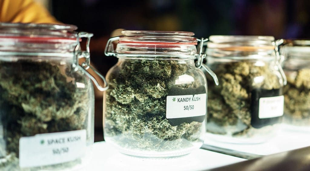 Does Weed Go Bad? (Yes – Here’s Why) Rokin | Weed shutterstock 1153607149
