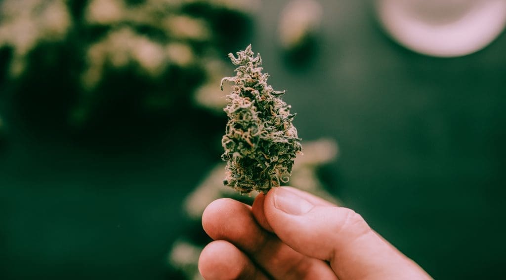 How to Choose the Best Dry Herb Vaporizer 6 How to Choose the Best Dry Herb Vaporizer 5