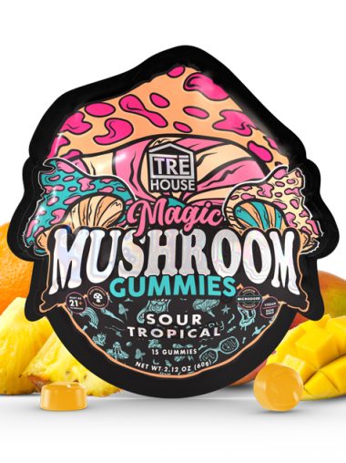 TreHouse Mushroom Gummies Sour Tropical