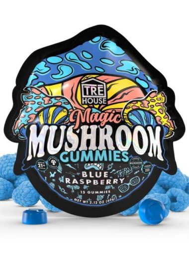 TreHouse mushroom gummies 15 count blue raspberry