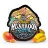 magic mushroom gummies juicy mango
