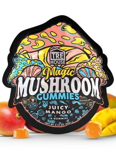 magic mushroom gummies juicy mango