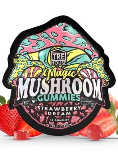 TreHouse mushroom gummies 15 count strawberry dream