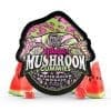 Trehouse magic mushroom gummies watermelon wonder