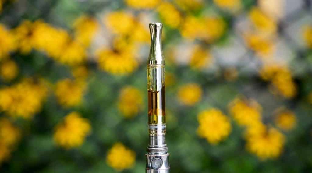 Types of Vape Carts: Understanding the Jargon 6 Types of Vape Carts: Understanding the Jargon 5