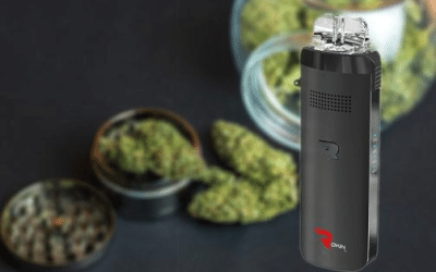 Dry Herb Vaping vs. Smoking: What You Should Know