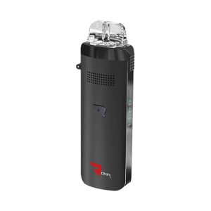 A black rectangular vaporizer with a clear mouthpiece, a small bird logo, and "ROKIN" in red text.
